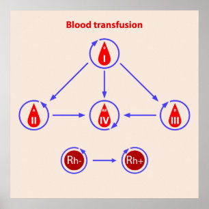 infographic blodtransfusion poster