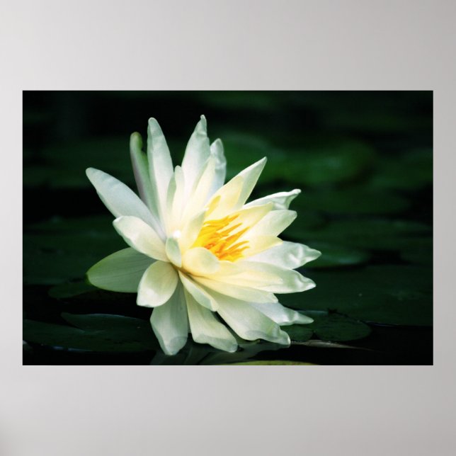 Inför Sol Poster (Framsidan)