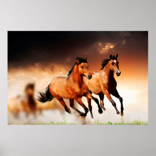 Införande av Vild Brown Horses Poster
