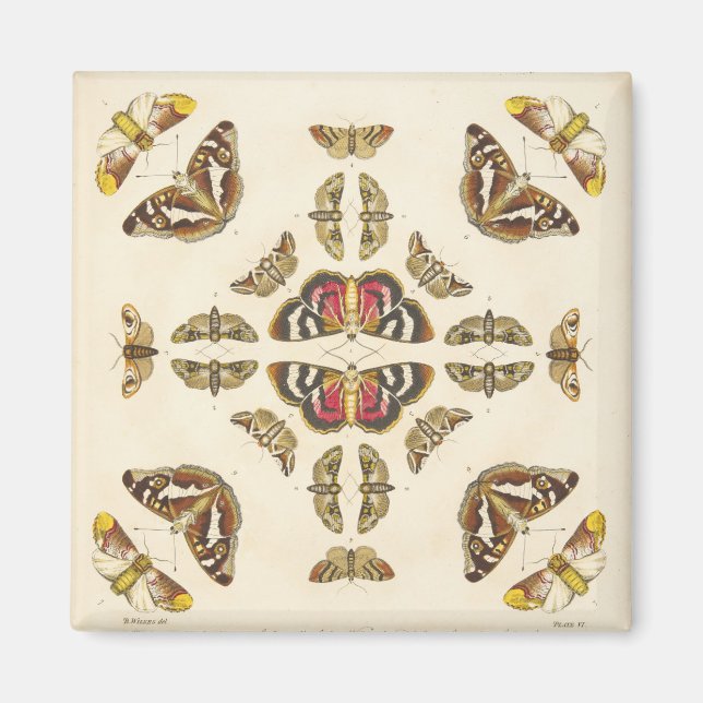 Information från Plattor VI Magnet (Framsidan)