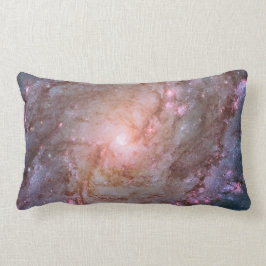 Information från Spiral Galaxy M83 Lumbarkudde