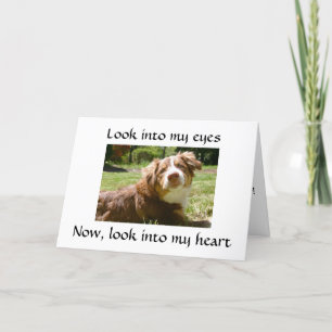 INFORMATION OM ATT LOVING DOGGIE GE SAKNAR "DU" KORT