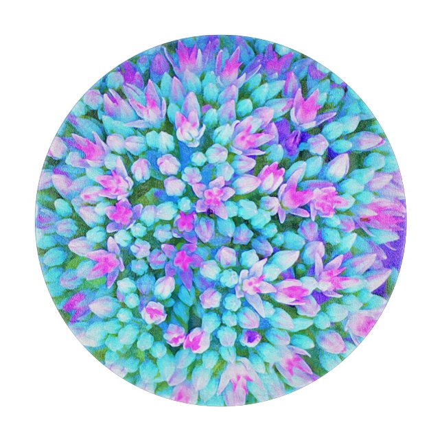 Information om blå och Shock rosa Succulent Sedum  (Framsidan)