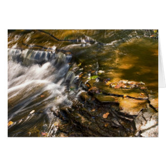 Information om Chapel River Hälsningskort