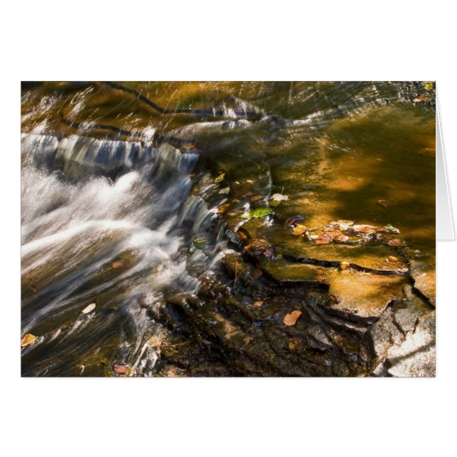 Information om Chapel River Hälsningskort (Framsidan Horizontal)