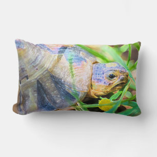Information om Cute Angulate Tortoise South Afrika Lumbarkudde