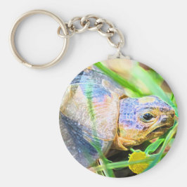 Information om Cute Angulate Tortoise South Afrika Nyckelring