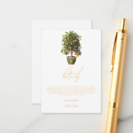 Information om elegant Sommar Orange Fruit Bröllop Tilläggskort