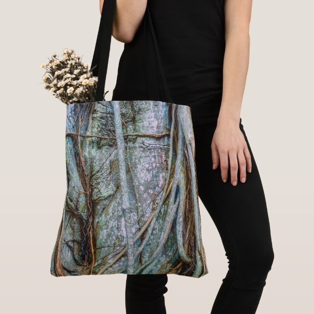 Information om en Florida Strangler Fig Tygkasse (Närbild)