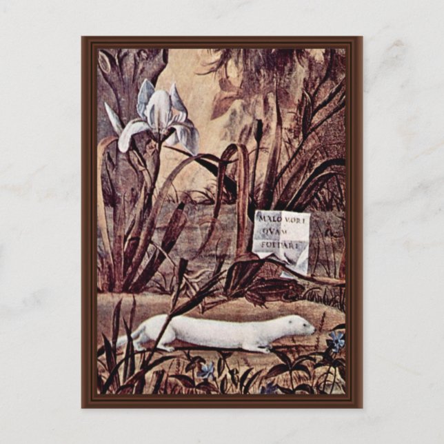 Information om en riddare porträtt från Carpaccio  Vykort (Framsida)