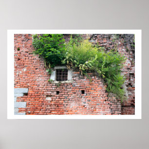 Information om medieval fönster poster