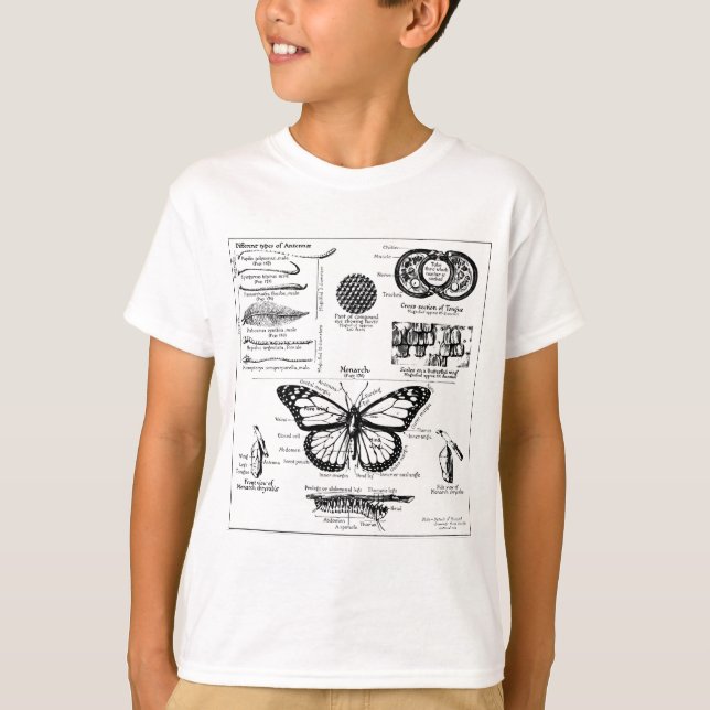 Information om Monarch Butterfly T-shirt (Framsida)