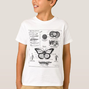 Information om monarkfjäril tee