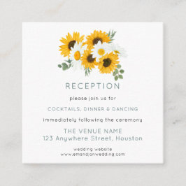 Information om mottagningsinformation för MINI Sun Tilläggskort