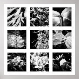 Information om naturserie - Blommor 2 Poster