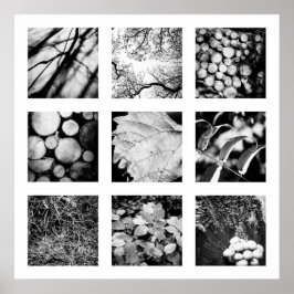 Information om naturserie - poster av skog