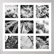 Information om naturserie - Poster information