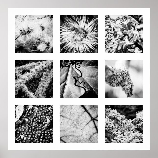 Information om naturserie - Poster information (Framsidan)