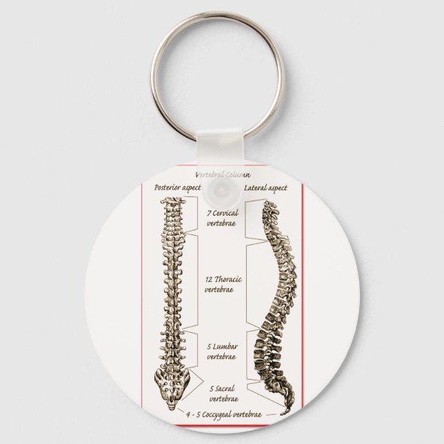 Information om ryggrad Sepia2 Nyckelring (Framsida)
