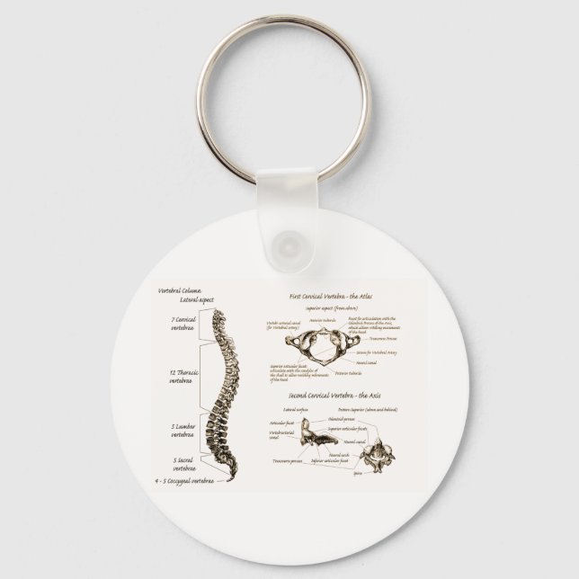 Information om ryggrad Sepia Nyckelring (Framsida)