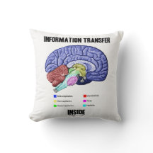 Information Transfer Inside Brain Anatomy Humor