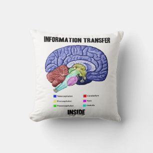 Information Transfer Inside Brain Anatomy Humor Kudde