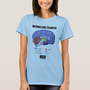 Informationsöverföring inuti (hjärnanatomi) tee