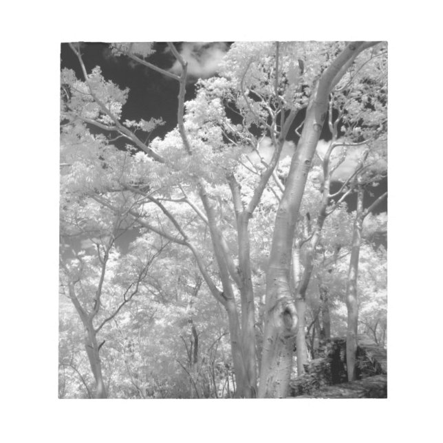 Infra red of träd byggnad och trails in Las 2 Anteckningsblock (Framsida)