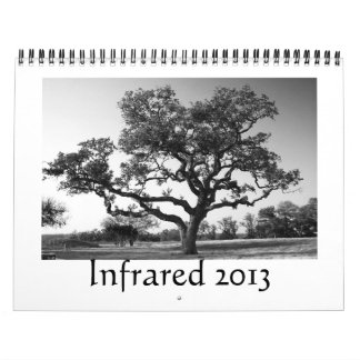 Infrarött - 2013 kalender