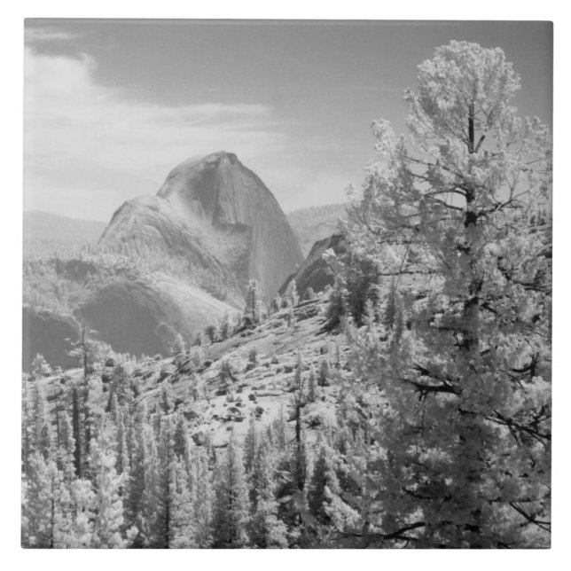 Infrarött foto på Öster sidan av Yosemite National Kakelplatta (Framsidan)
