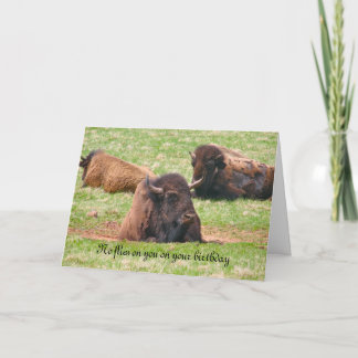 Inga flugor på din födelsedag - födelsedagskort kort