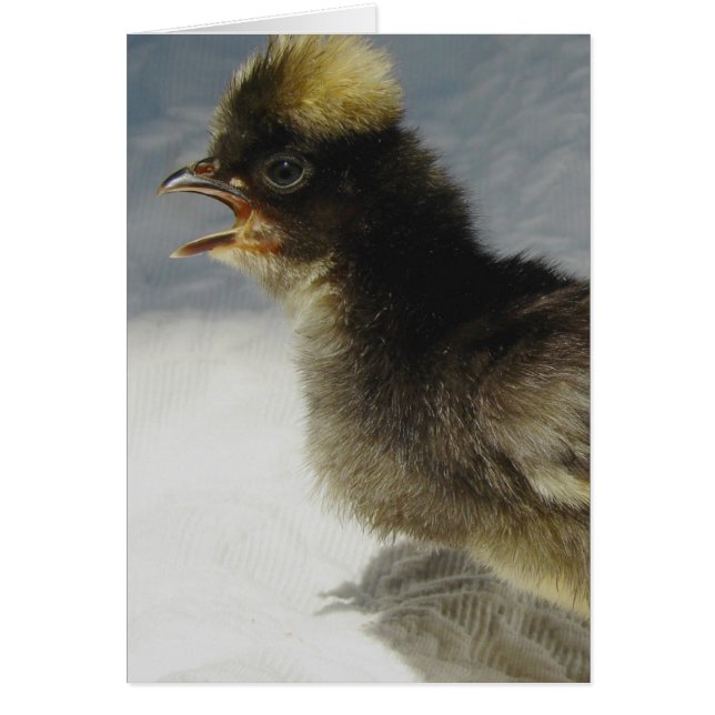 Inga fotografier. hälsningskort (Framsidan)