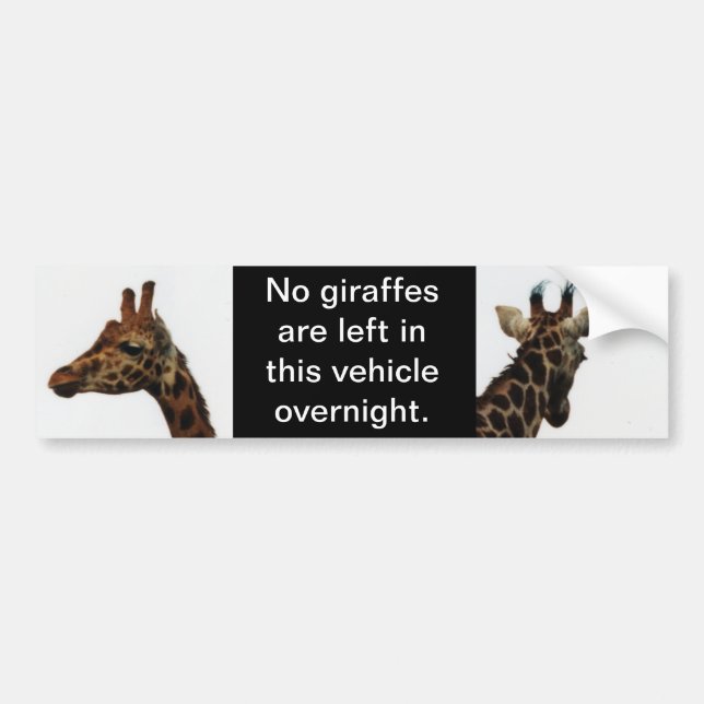 Inga giraffer lämnat bakom stötfångarens dekaler (Framsidan)