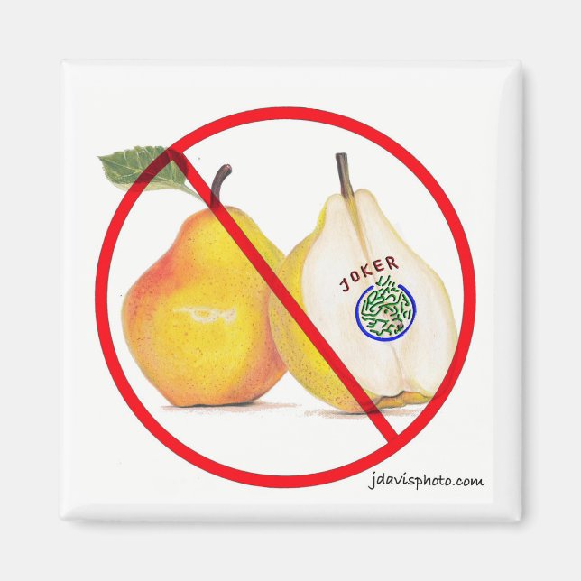 Inga Jokers Magnet (Framsidan)