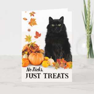 Inga knep bara behandlar Halloween Black Cat Kort