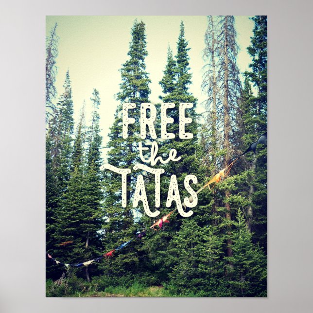 Inga märken tillåts i skogen poster (Framsidan)