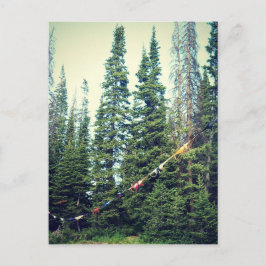 Inga märken tillåts i skogen vykort