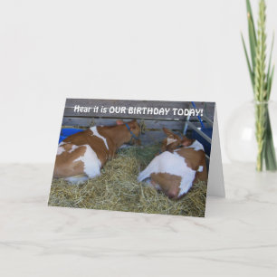 INGA MOO-A COUP-SHARING BIRTHDAYS KORT