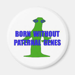 Inga Paternal gener Magnet