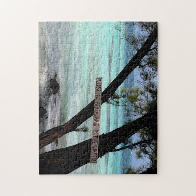 Inga persikoordförande i vatten. Grand Cayman Pussel (Vertikal)