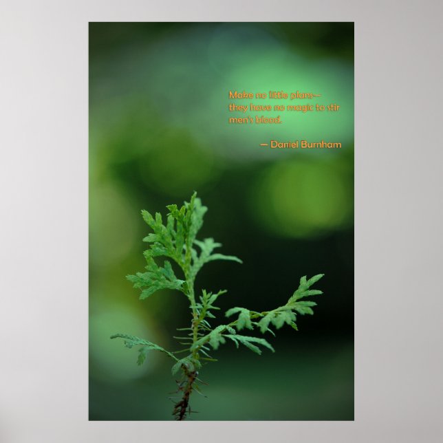 Inga små planer poster (Framsidan)