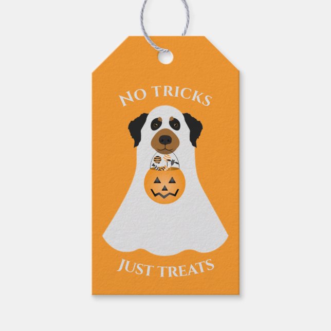 Inga trick bara Treats Halloween-Hund Presentetikett (Framsidan)