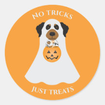 Inga trick bara Treats Halloween-Hund