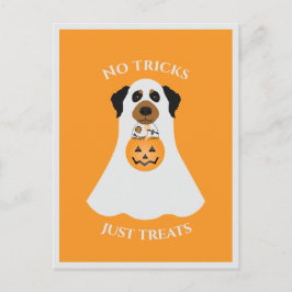 Inga trick bara Treats Halloween-Hund Vykort