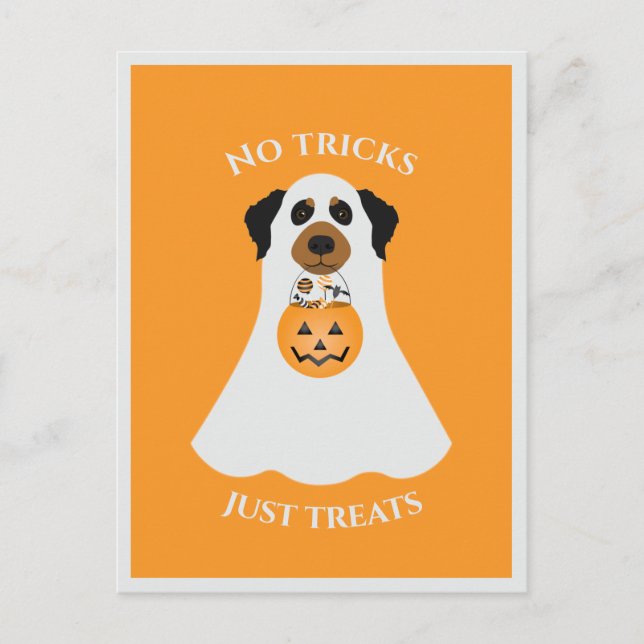 Inga trick bara Treats Halloween-Hund Vykort (Framsida)