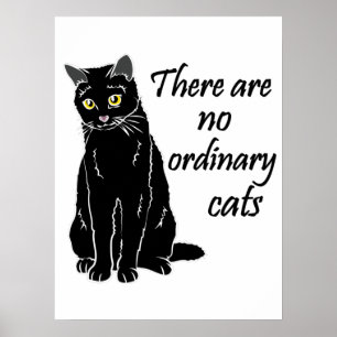 Inga vanliga katter poster