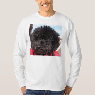 Ingefära Tee