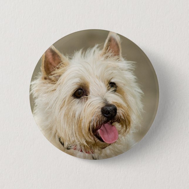 Ingefäraleenden klämmer fast knapp (Framsida)