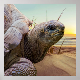 Ingen brådska poster