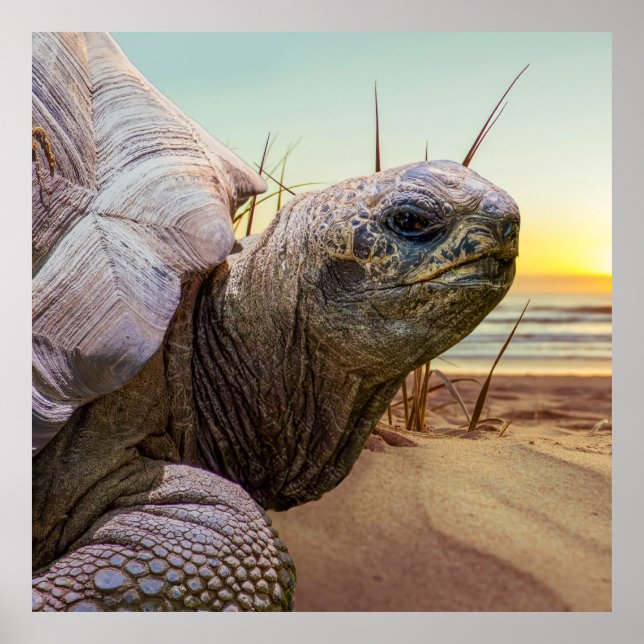 Ingen brådska poster (Framsidan)